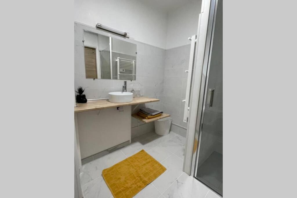 Petit Appartement Cosy A Troyes Exterior foto